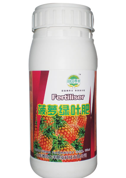 菠蘿綠葉肥