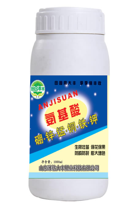 氨基酸